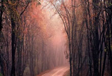 好博体育：英超｜阿仙奴主場一球小勝葉士域治　升上聯賽次席.