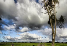 好博体育:“车王”舒马赫无法再进行口头交流 需持续依赖别人照顾3-28 18:04.