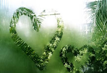 好博体育：[亚冬会]男子冰球A组：泰国VS中国.