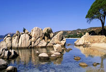 2023女足世界杯哥倫比亞簡介.